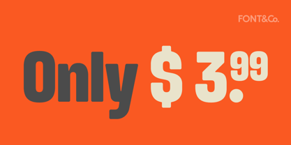 Slinky Font Poster 7
