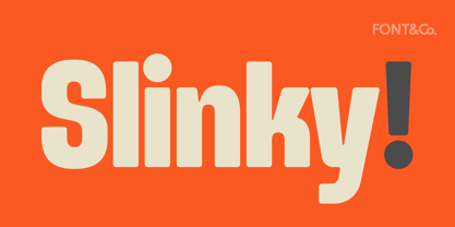 Slinky Font Poster 1