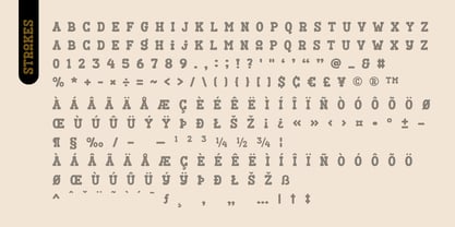 Fox Cynthia Font Poster 11