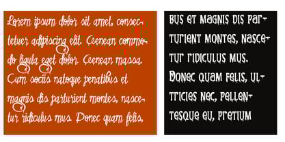 PN Ever Scary Font Poster 5