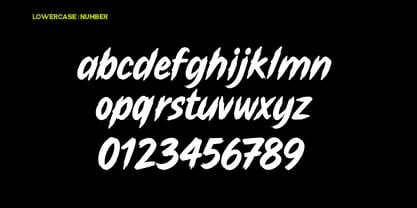 Rowler Wild Font Poster 7