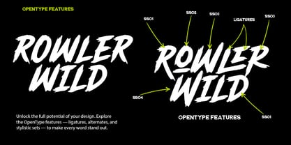 Rowler Wild Font Poster 5