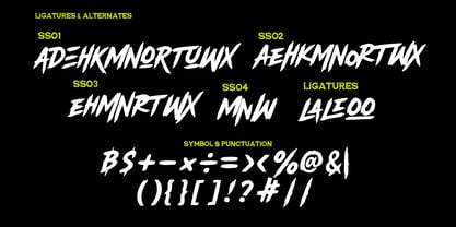 Rowler Wild Font Poster 8