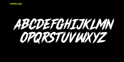 Rowler Wild Font Poster 6