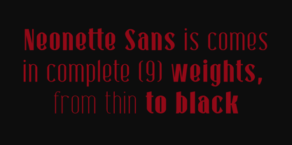 Neonette Sans Font Poster 2