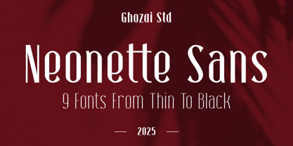 Neonette Sans Font Poster 1
