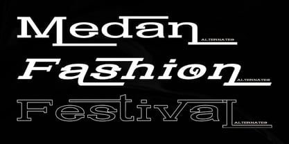 Astonia Eleganty Font Poster 3