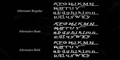 Astonia Eleganty Font Poster 6