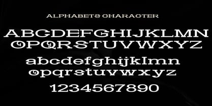 Astonia Eleganty Font Poster 8