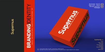 Supernus Font Poster 14