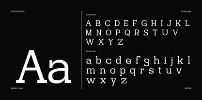 Stragon Font Poster 11