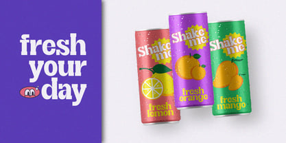 Restone Block Font Poster 14