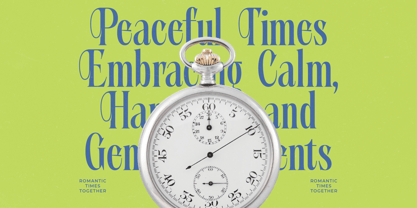 Portrait Midnight Font Poster 9