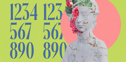 Portrait Midnight Font Poster 12