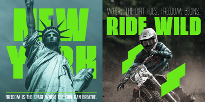 Arctos Sans Font Poster 6