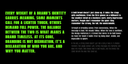 Arctos Sans Font Poster 4