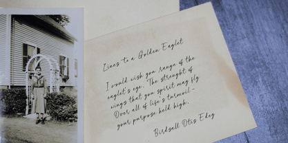 Pinky Gallito Font Poster 11