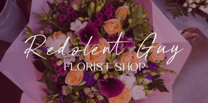 Pinky Gallito Font Poster 9