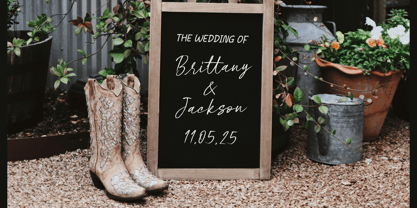 Pinky Gallito Font Poster 12