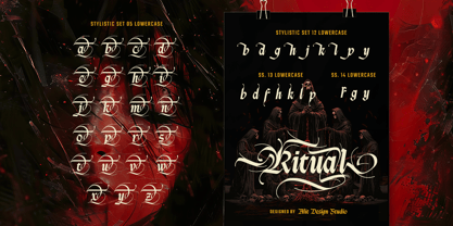 Micky Rinse Font Poster 14