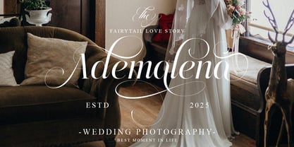 The Eliven Editorial Family Font Poster 4