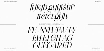 The Eliven Editorial Family Font Poster 12