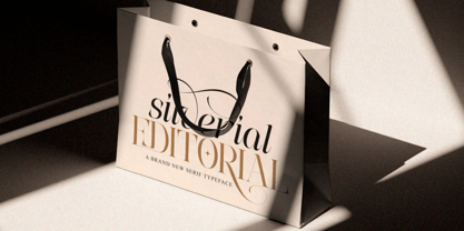 The Eliven Editorial Family Font Poster 5