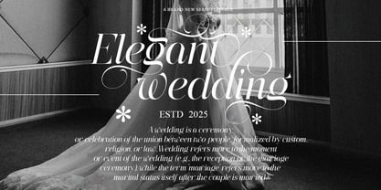 The Eliven Editorial Family Font Poster 6