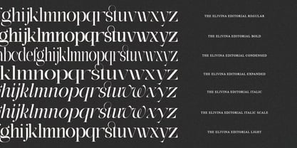 The Eliven Editorial Family Font Poster 15
