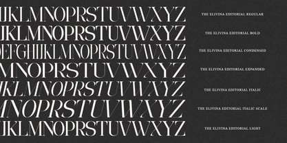 The Eliven Editorial Family Font Poster 14