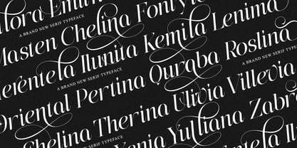 The Eliven Editorial Family Font Poster 9