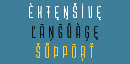 Raviona Font Poster 13