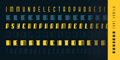 Raviona Font Poster 9