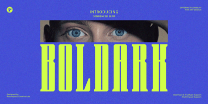 Boldark Font Poster 1