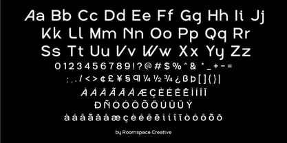 Noreva Font Poster 10