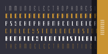 Romanova Font Poster 13