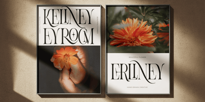 Aroney Font Poster 2