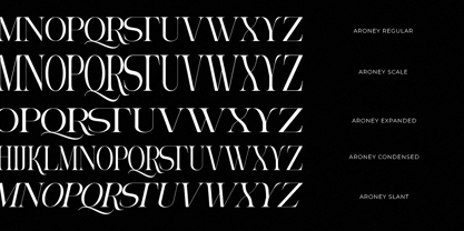 Aroney Font Poster 11