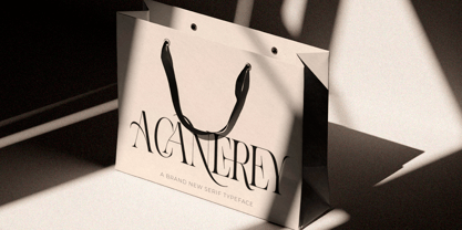 Aroney Font Poster 9