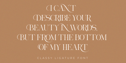 Aroney Font Poster 7