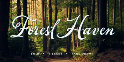 Forest Haven Font Poster 1