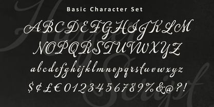 Forest Haven Font Poster 8