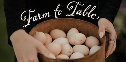 Forest Haven Font Poster 2