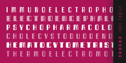 Spacho Font Poster 10