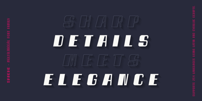 Spacho Font Poster 11