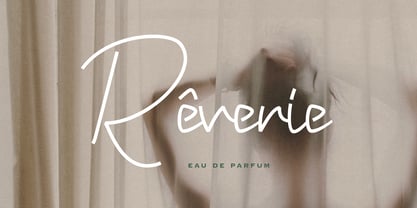 Joyeux Script Font Poster 3