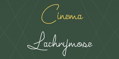 Joyeux Script Font Poster 12