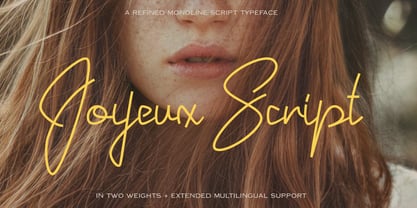 Joyeux Script Font Poster 1