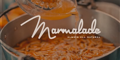 Joyeux Script Font Poster 11