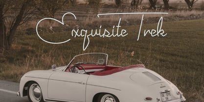 Joyeux Script Font Poster 6